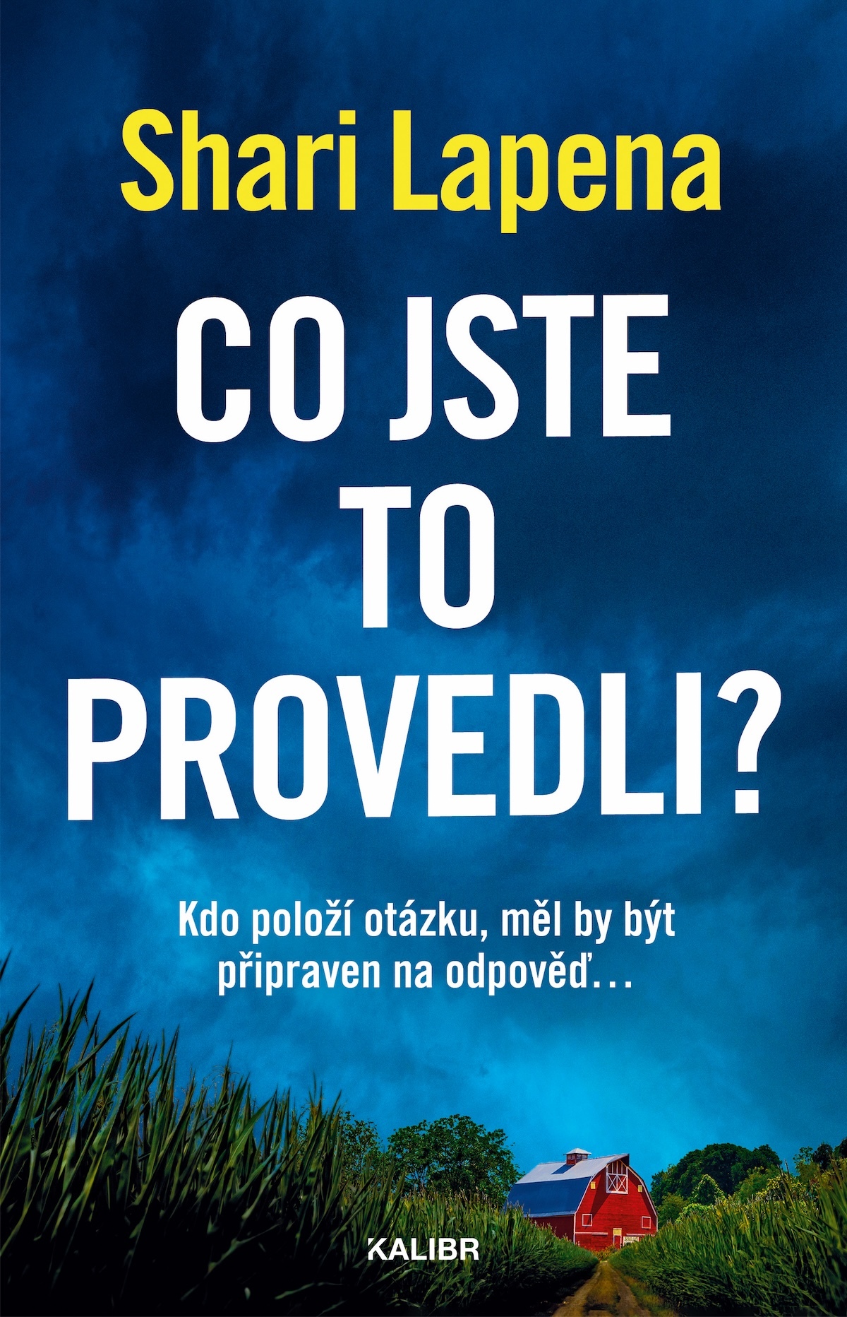 co_jste_to_provedli.jpg